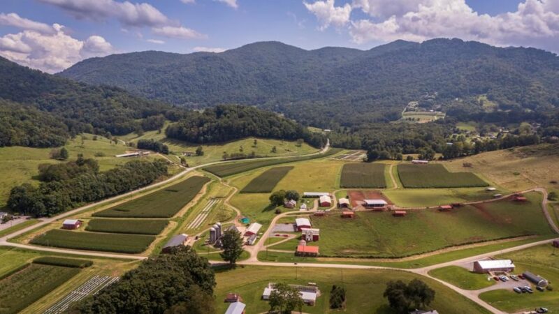 10 Things You’ll Only Understand If You Grew Up in Duplin or Wayne County
