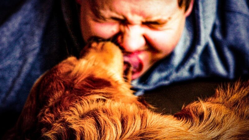 7 Dog Breeds Most Likely To Trigger Allergies, According To Vets