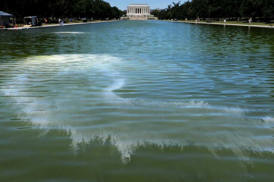 Algae Blooms Turn Lincoln Memorial Reflecting Pool Green After Renovation