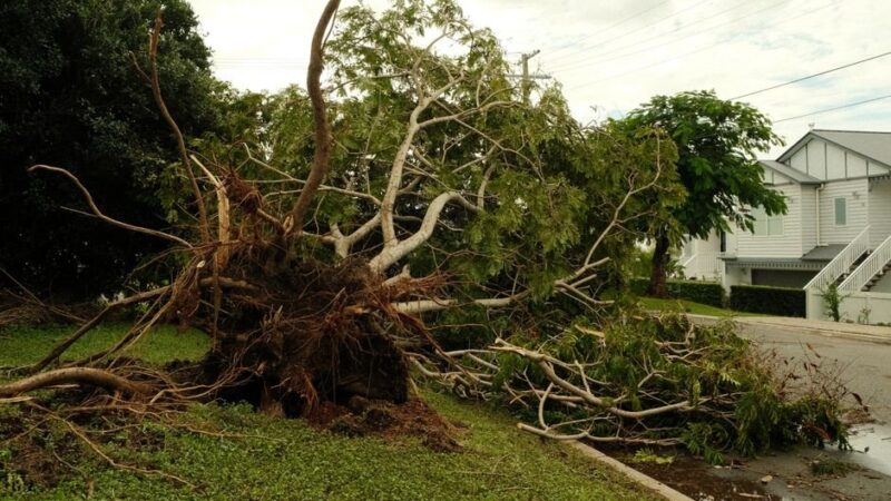 Overnight Storms Cause Damage, Power Outages for Hundreds in Granville County