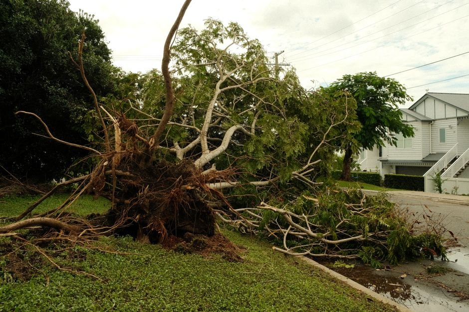 Overnight Storms Cause Damage, Power Outages for Hundreds in Granville County