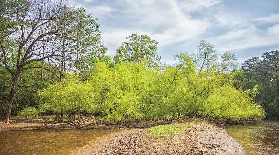 Unearthing Wayne County’s Hidden Natural Gems: Did You Know?