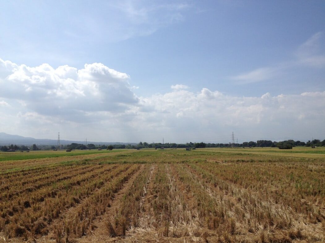 Local Farmers Prepare for July Heatwave: How Wayne and Duplin Counties Are Coping