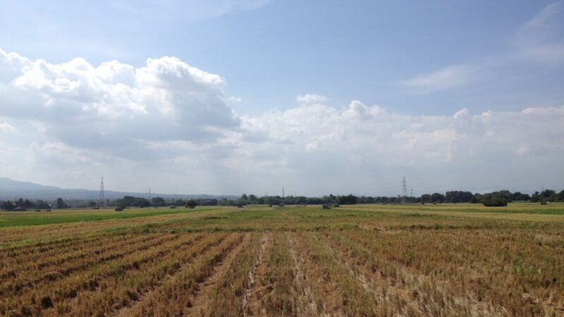 Local Farmers Prepare for July Heatwave: How Wayne and Duplin Counties Are Coping