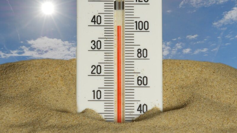 Summer Heatwave Hits Wayne and Duplin Counties: Tips to Stay Safe and Cool