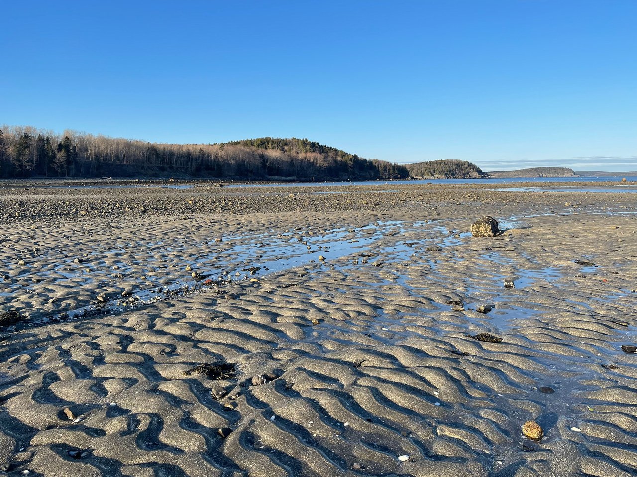 Rippling sands and coastal views under a bright blue sky in Bar Harbor, Maine.