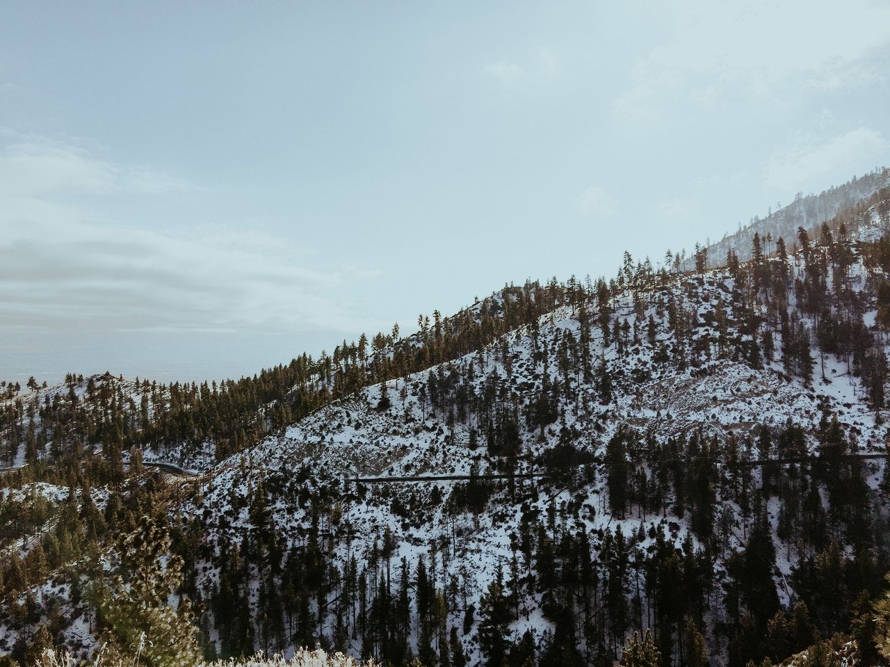 Scenic winter view of snow-covered hills and trees in Reno, Nevada.