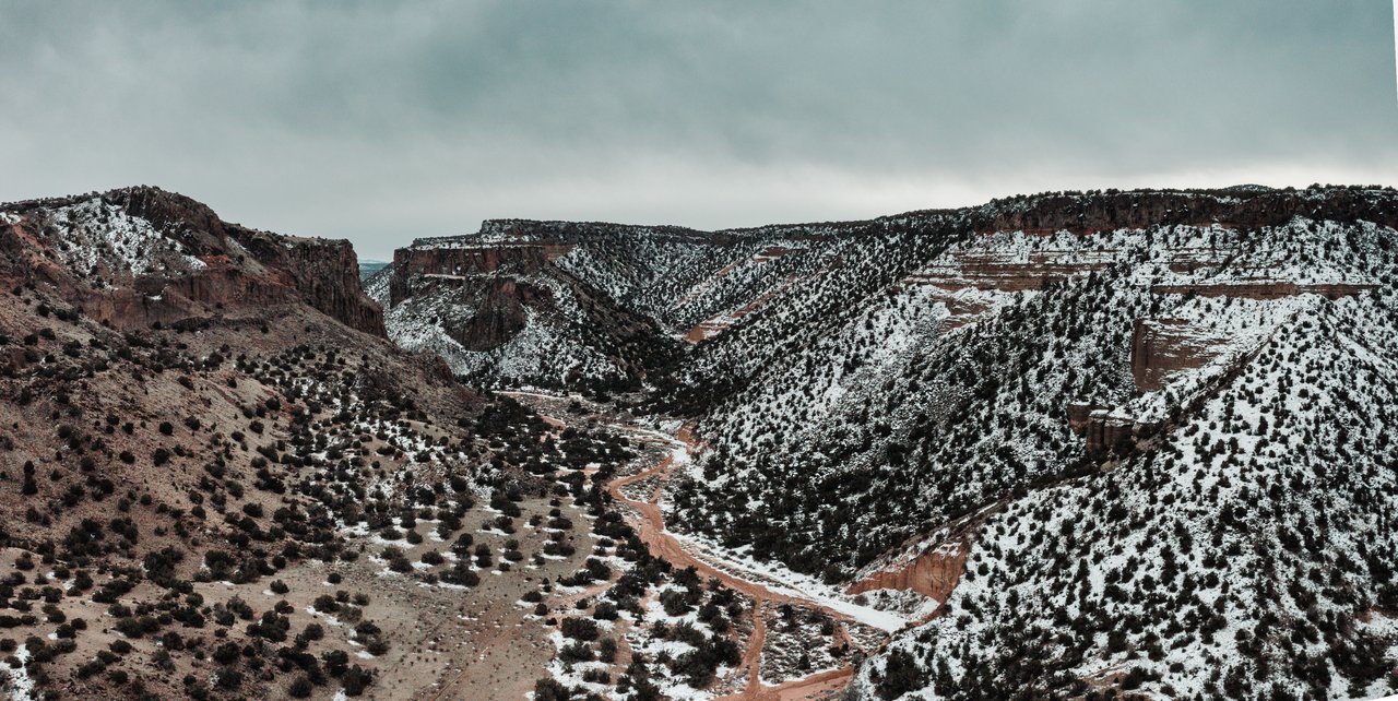 A breathtaking view of a snowy canyon in White Rock, NM, capturing the winter landscape.