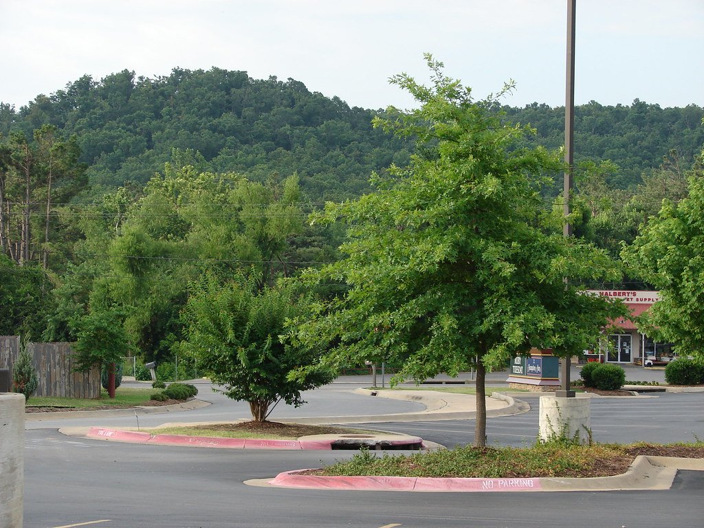 Fayetteville Arkansas