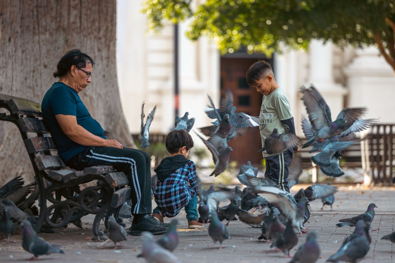 Grandfather and grandsons feeding pigeons in a city park, enjoying a sunny day.