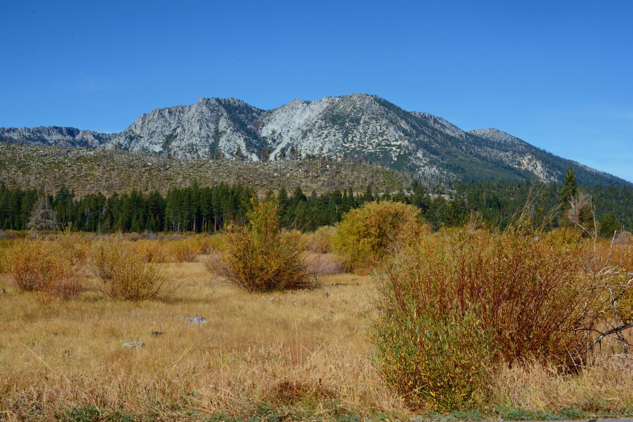 Tranquil view of the Sierra Nevada mountains with autumn foliage under a clear blue sky.