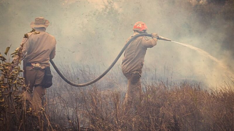 Duplin County Forest Fire Now 50% Contained After Weekend Efforts