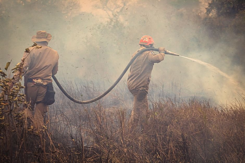Duplin County Forest Fire Now 50% Contained After Weekend Efforts