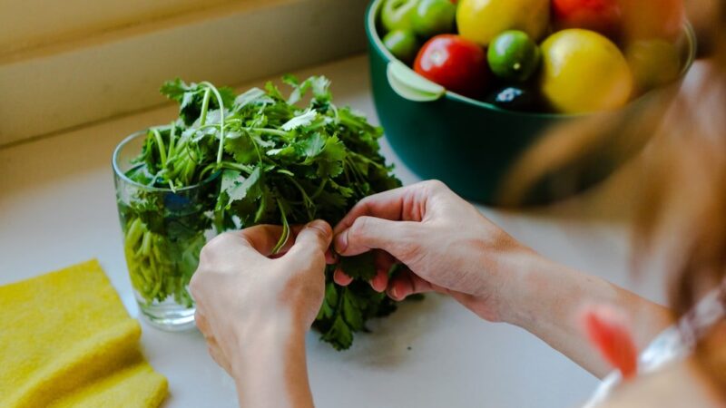 FDA Investigates New Cyclospora Outbreak as North Carolina Probes Herb-Linked Cases