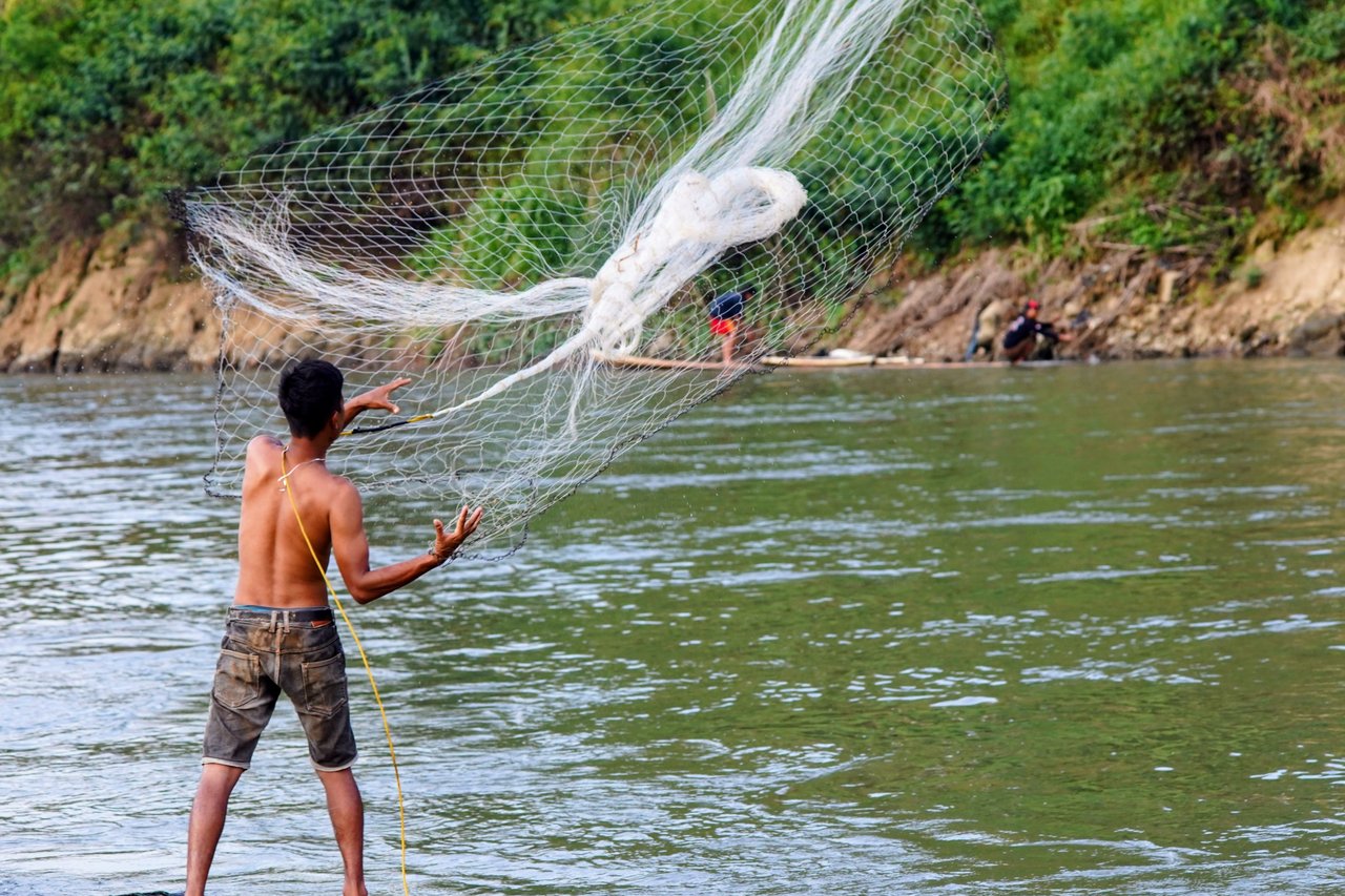 A man skillfully casts a fishing net in a tranquil river in West Java, Indonesia.
