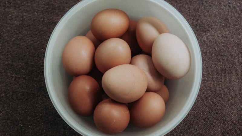 Nearly 19 Million Eggs Recalled Over Salmonella Risk in Multiple Southern States