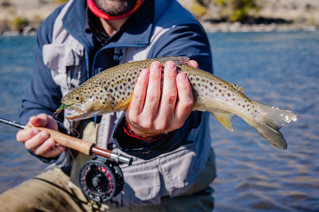 A fisherman displays a brown trout caught in the clear waters of Neuquén, Argentina.