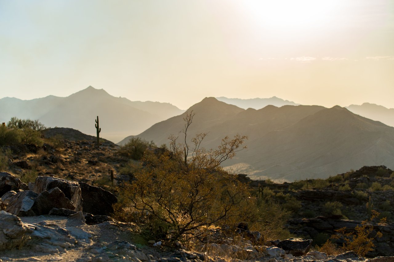 Explore the serene beauty of Arizona's desert landscape at sunset featuring iconic saguaro cacti.