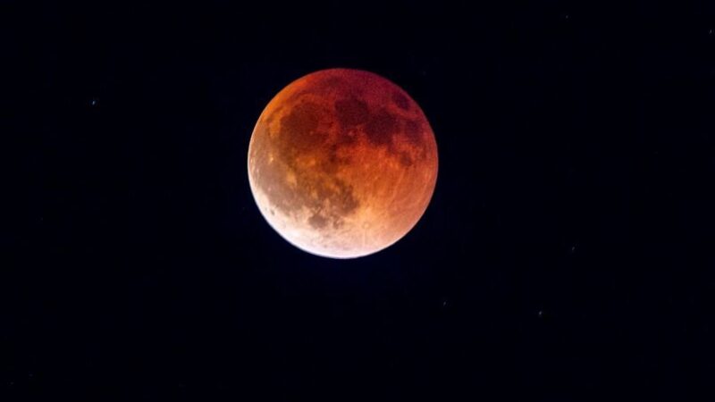 Near-Total Lunar Eclipse to Light Up North Carolina Skies This Week