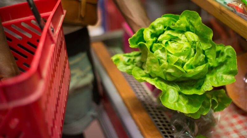 CDC Declares Massive Lettuce-Linked Cyclospora Outbreak Over After 12,883 Cases