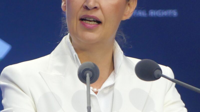 Far-Right AfD Triumphs in Saxony-Anhalt, Chancellor Merz Dismisses Majority Hopes