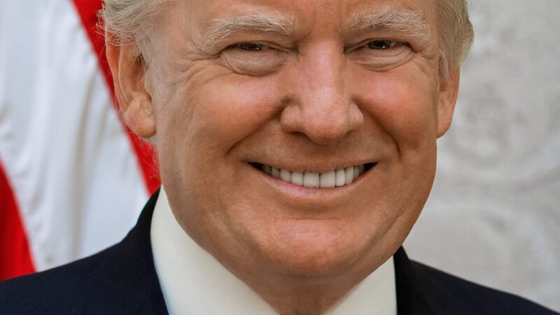 President Trump and Sons Deepen Investments in AI Economy Amid Industry Surge
