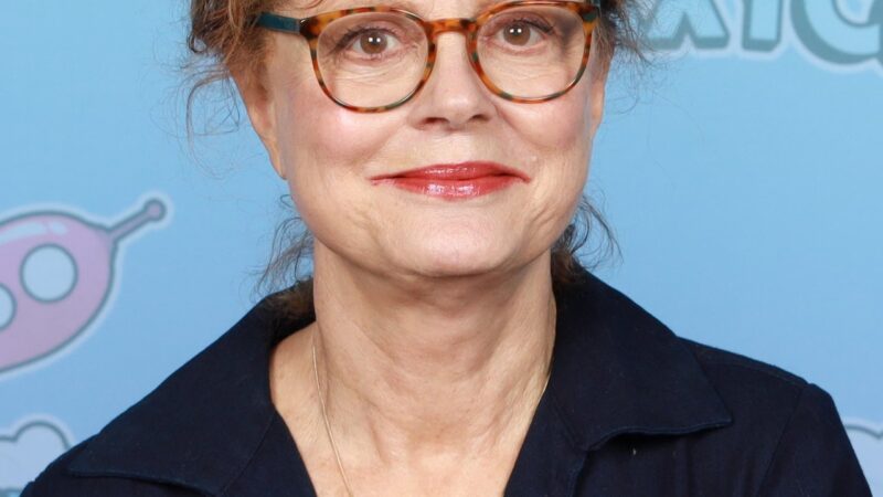 Susan Sarandon, Hannah Einbinder Among 100+ Arrested at Anti-Netanyahu UN Protest