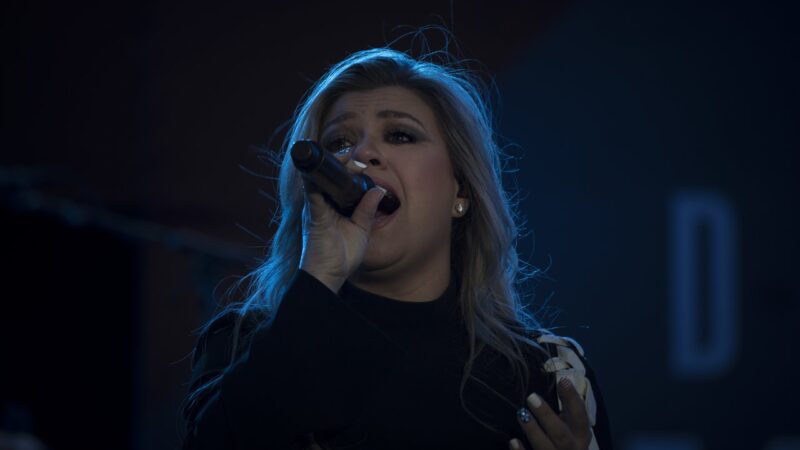 Brooklyn Store Owner Claims Kelly Clarkson Put Business in Danger Over $15M Bird Dispute