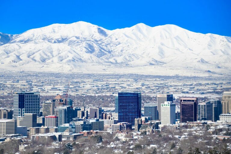 a view of a city with mountains in the background