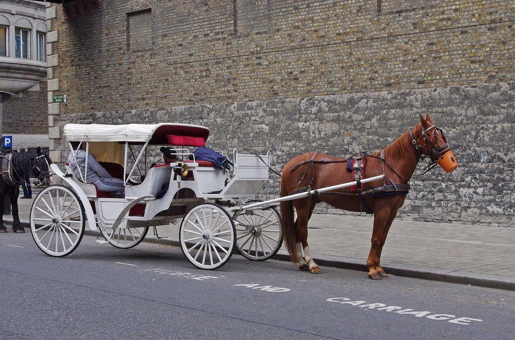 New York City to Ban Horse-Drawn Carriages by June 2028 Following Tourist Death