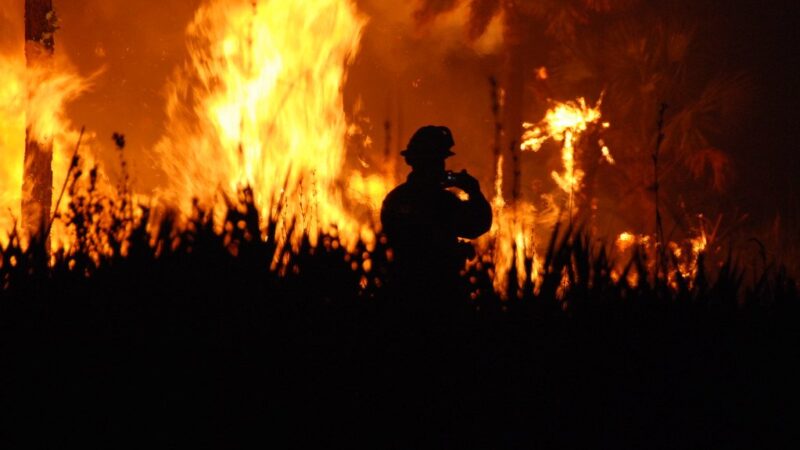 Norte Fire Rapidly Grows in Orange County, Damaging Homes and Forcing Evacuations
