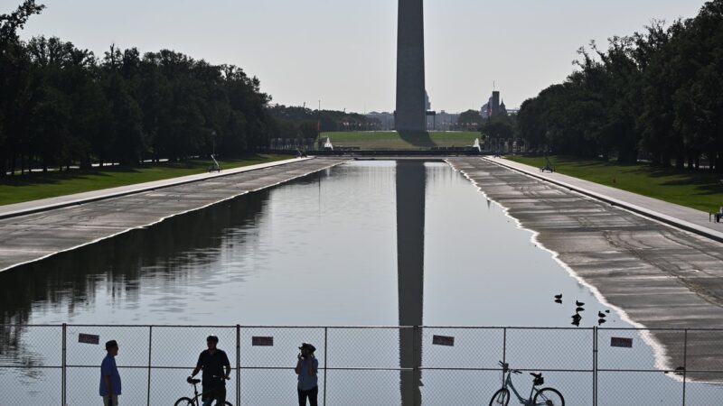 Olympic Canoeist David Hearn Emerges as Trump Foil Amid Reflecting Pool Scandal